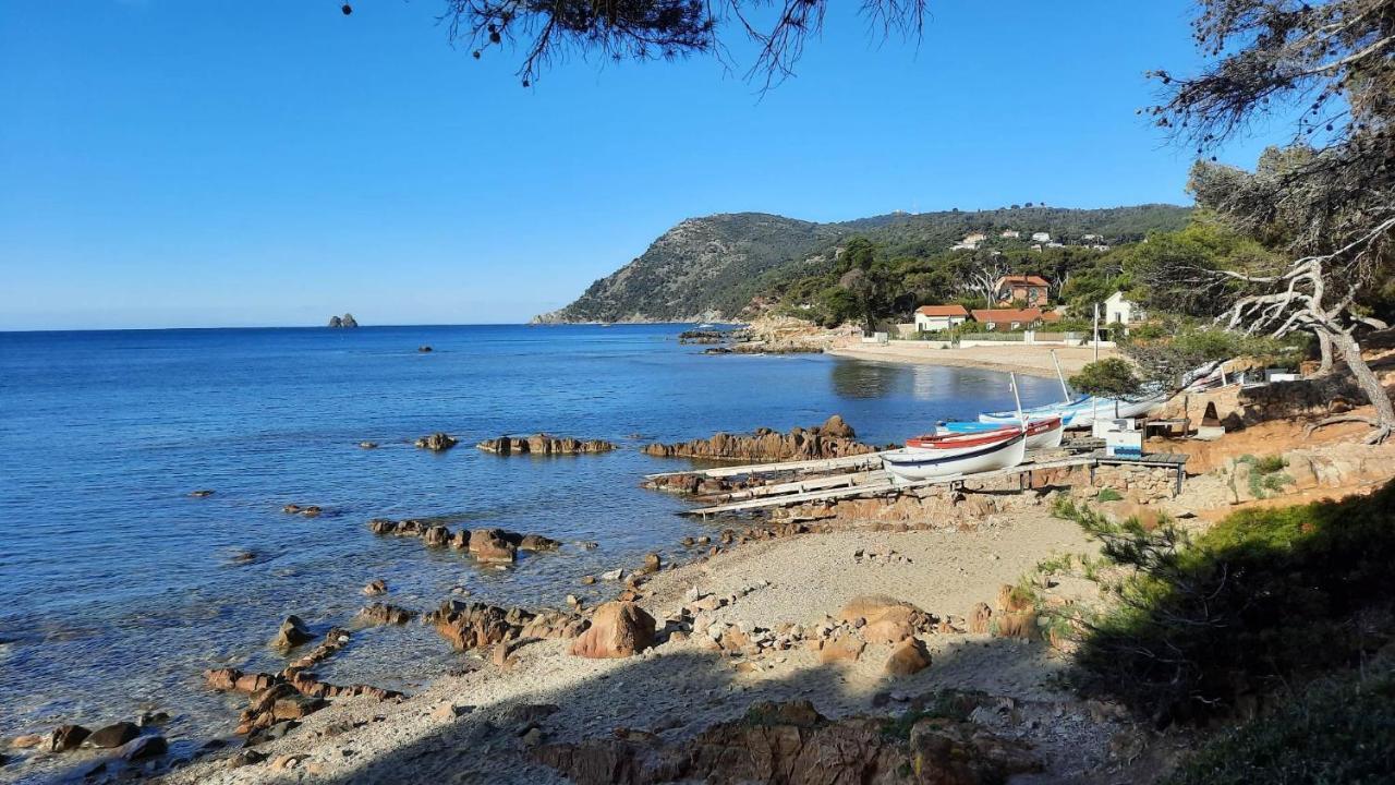 Les Bois Flottes . Plage De La Verne La Seyne-sur-Mer Exterior photo